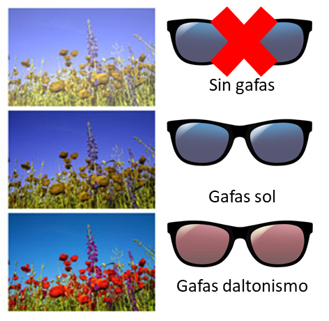Imagen lentes para daltonismo de la Asociación Española de Optometristas Unidos