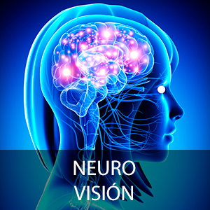 Cursos de Neurovisión para profesionales de la salud visual