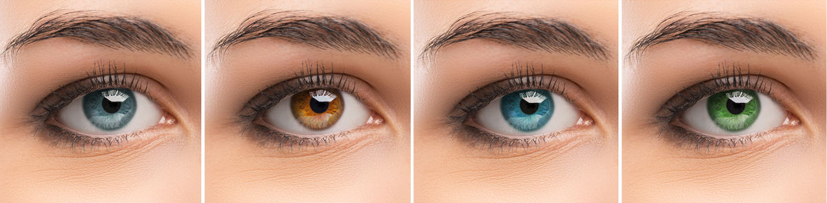 Imagen Diferencias entre un óptico - optometrista y un oftalmólogo de la Asociación Española de Optometristas Unidos